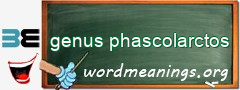 WordMeaning blackboard for genus phascolarctos